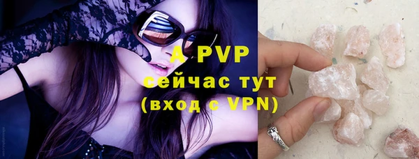 ГАЛЛЮЦИНОГЕННЫЕ ГРИБЫ Богданович