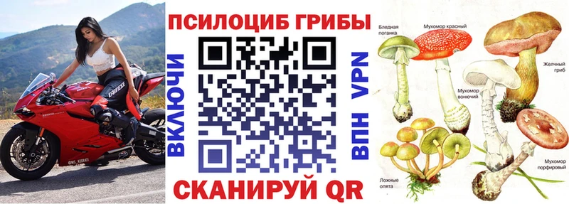 Галлюциногенные грибы прущие грибы  Купить  Нижняя Тура 
